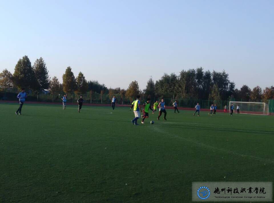 少妇被又大又粗又爽久久