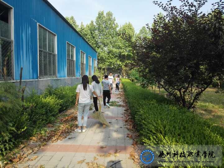 美化校园，你我当先