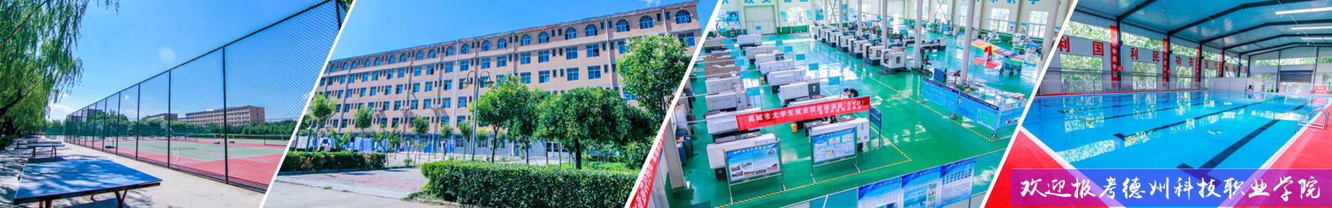 少妇被又大又粗又爽久久