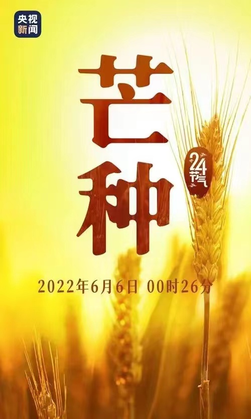 少妇被又大又粗又爽久久