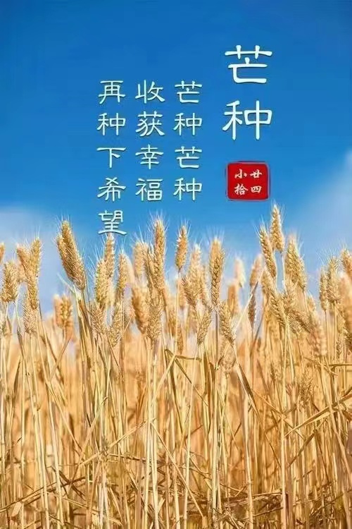 少妇被又大又粗又爽久久