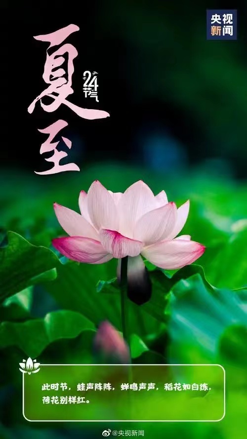 少妇被又大又粗又爽久久