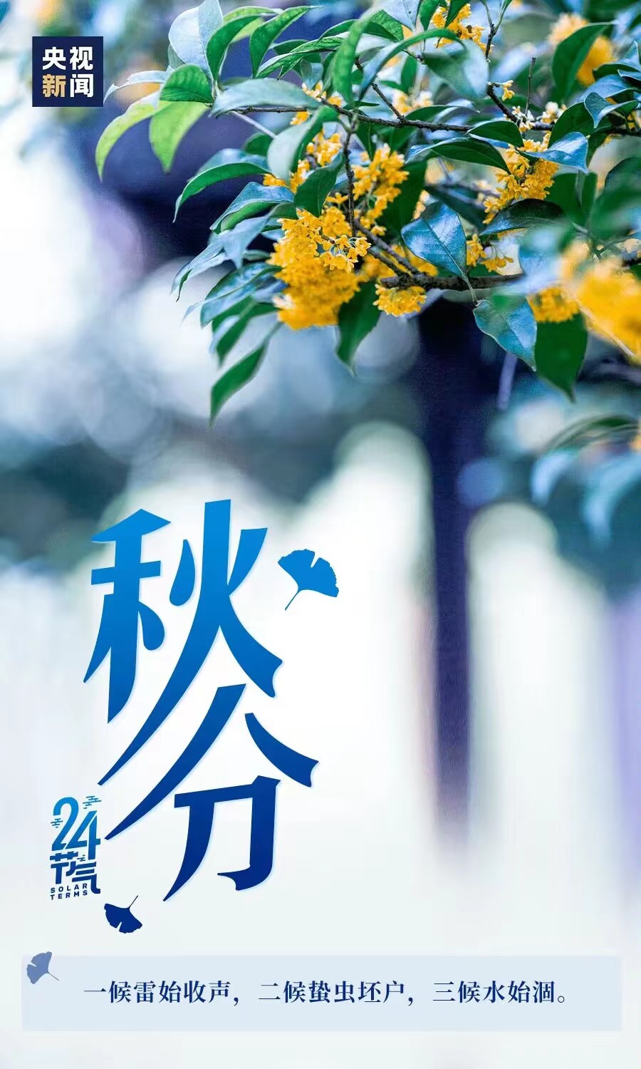 少妇被又大又粗又爽久久