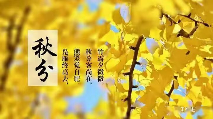 少妇被又大又粗又爽久久