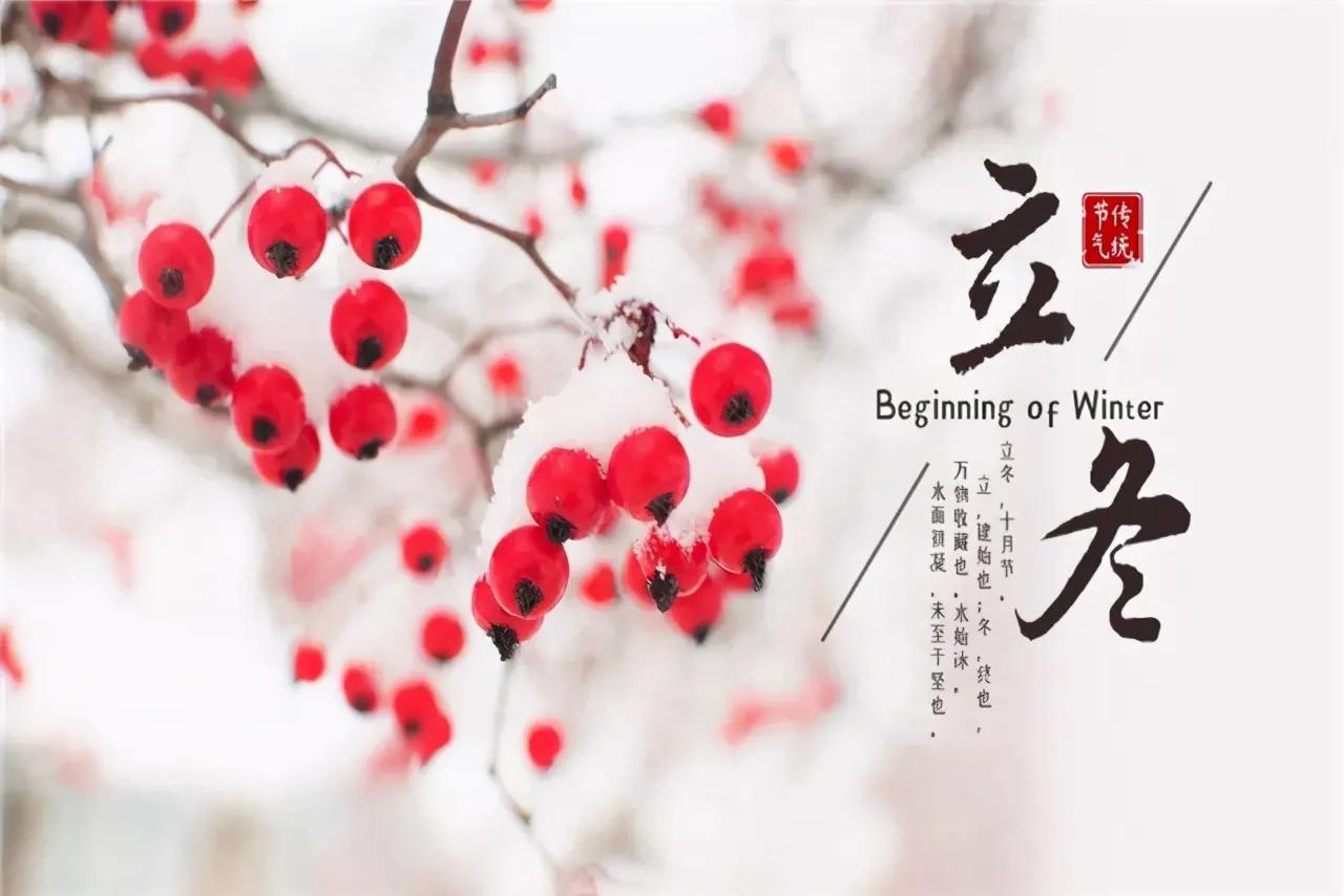 少妇被又大又粗又爽久久