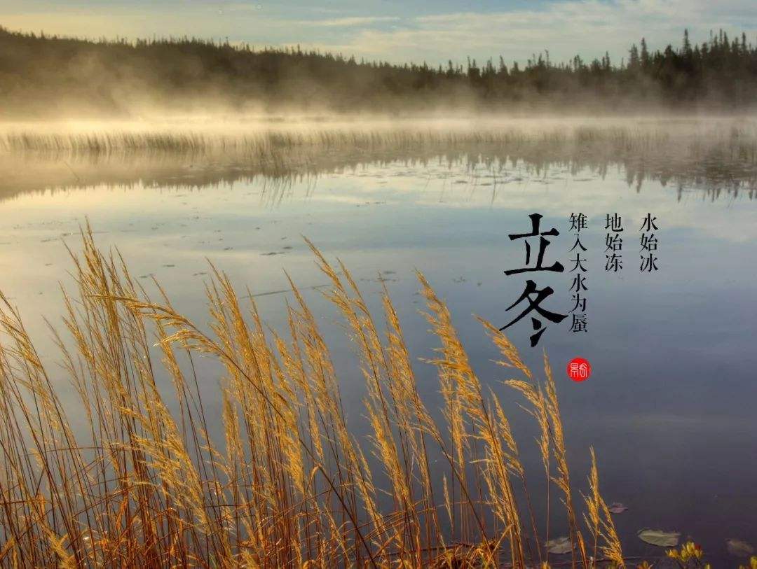 少妇被又大又粗又爽久久