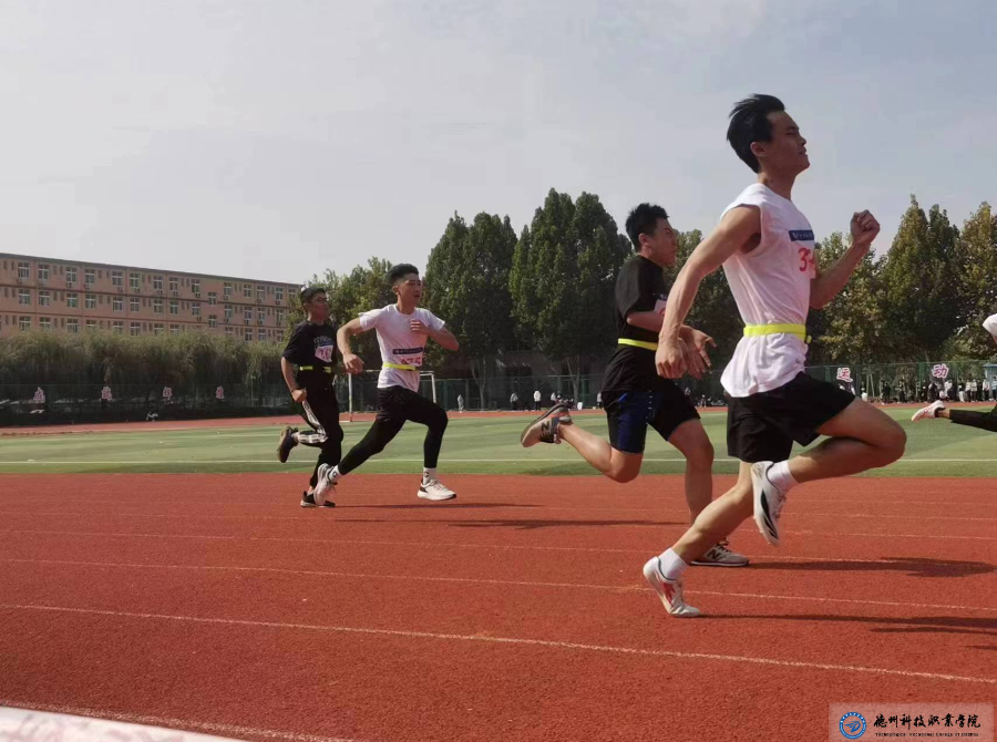 少妇被又大又粗又爽久久