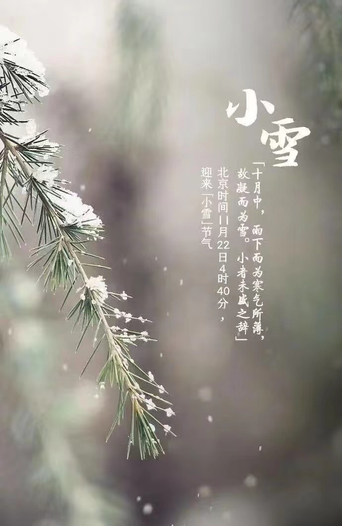 少妇被又大又粗又爽久久