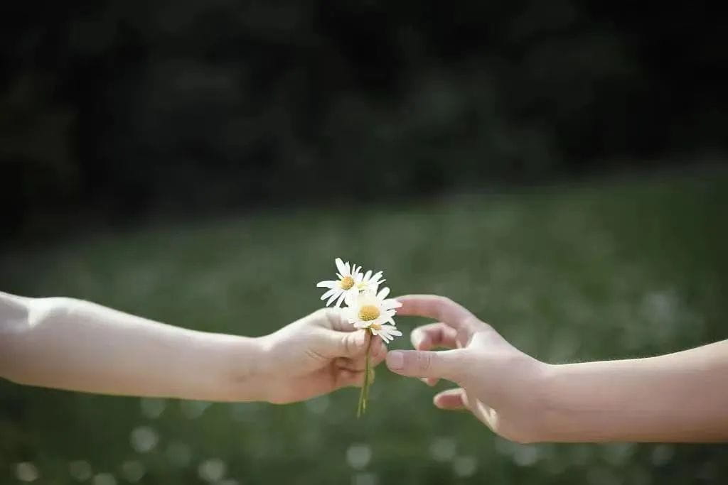 少妇被又大又粗又爽久久