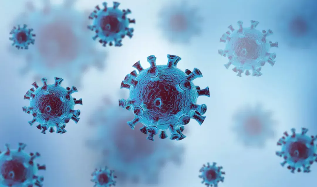 少妇被又大又粗又爽久久