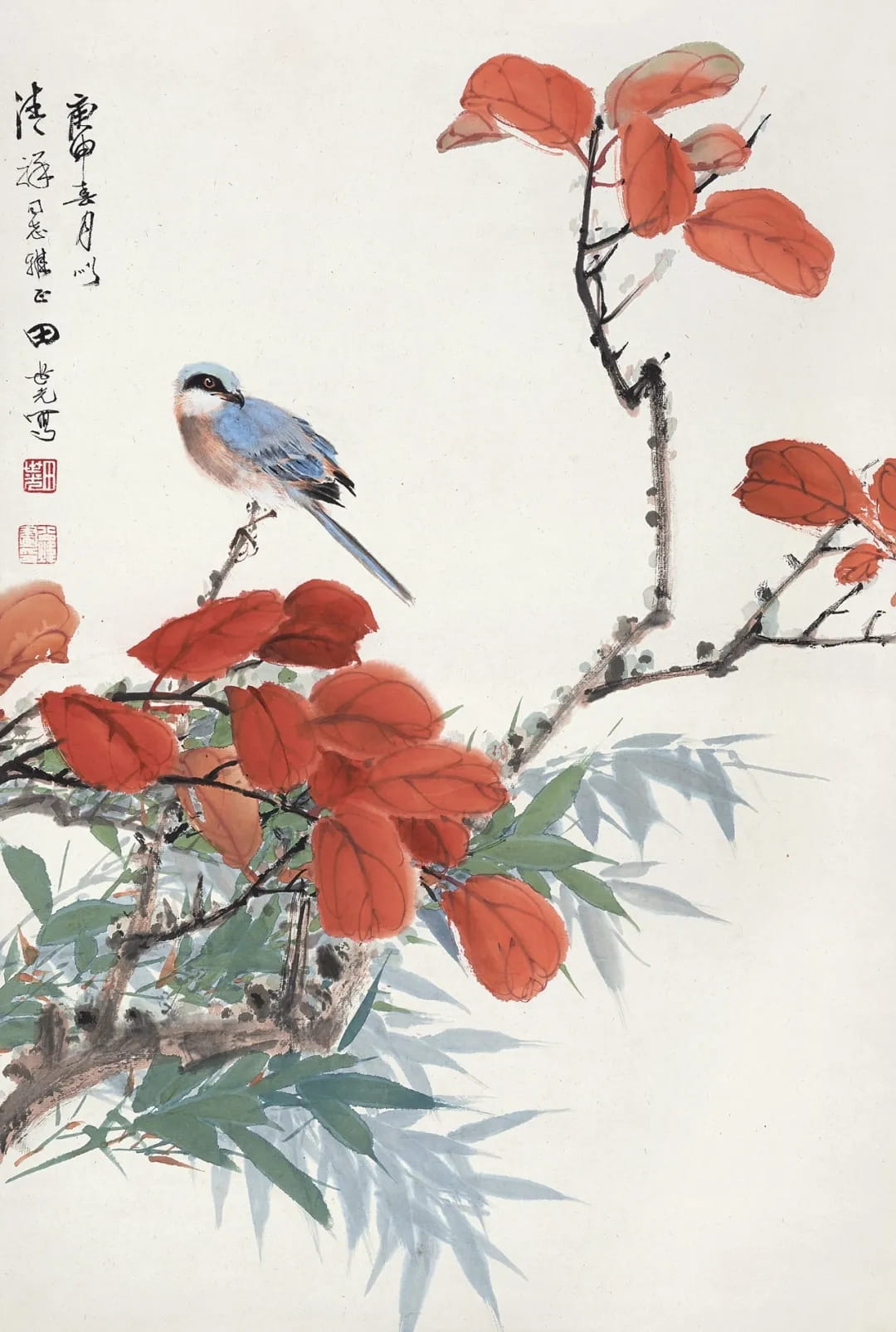 少妇被又大又粗又爽久久