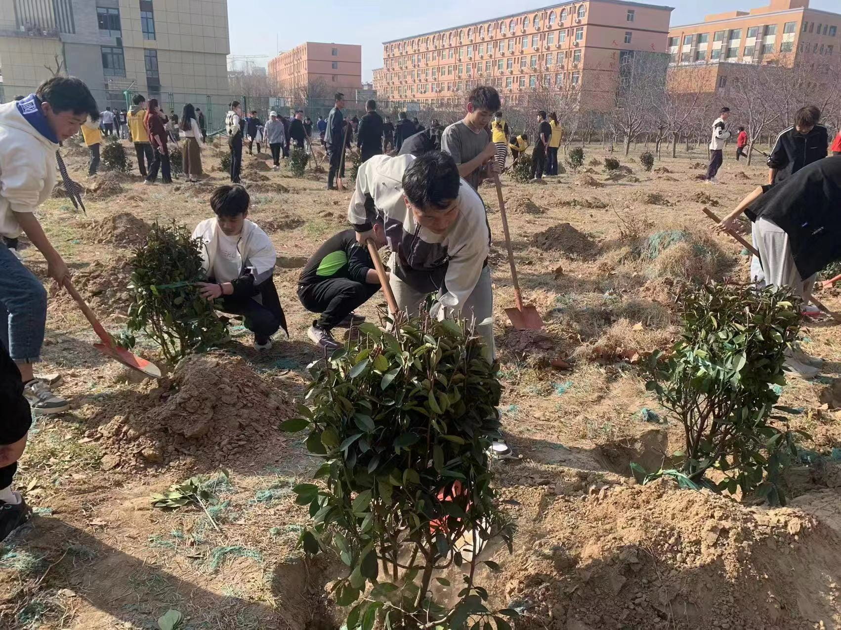 少妇被又大又粗又爽久久