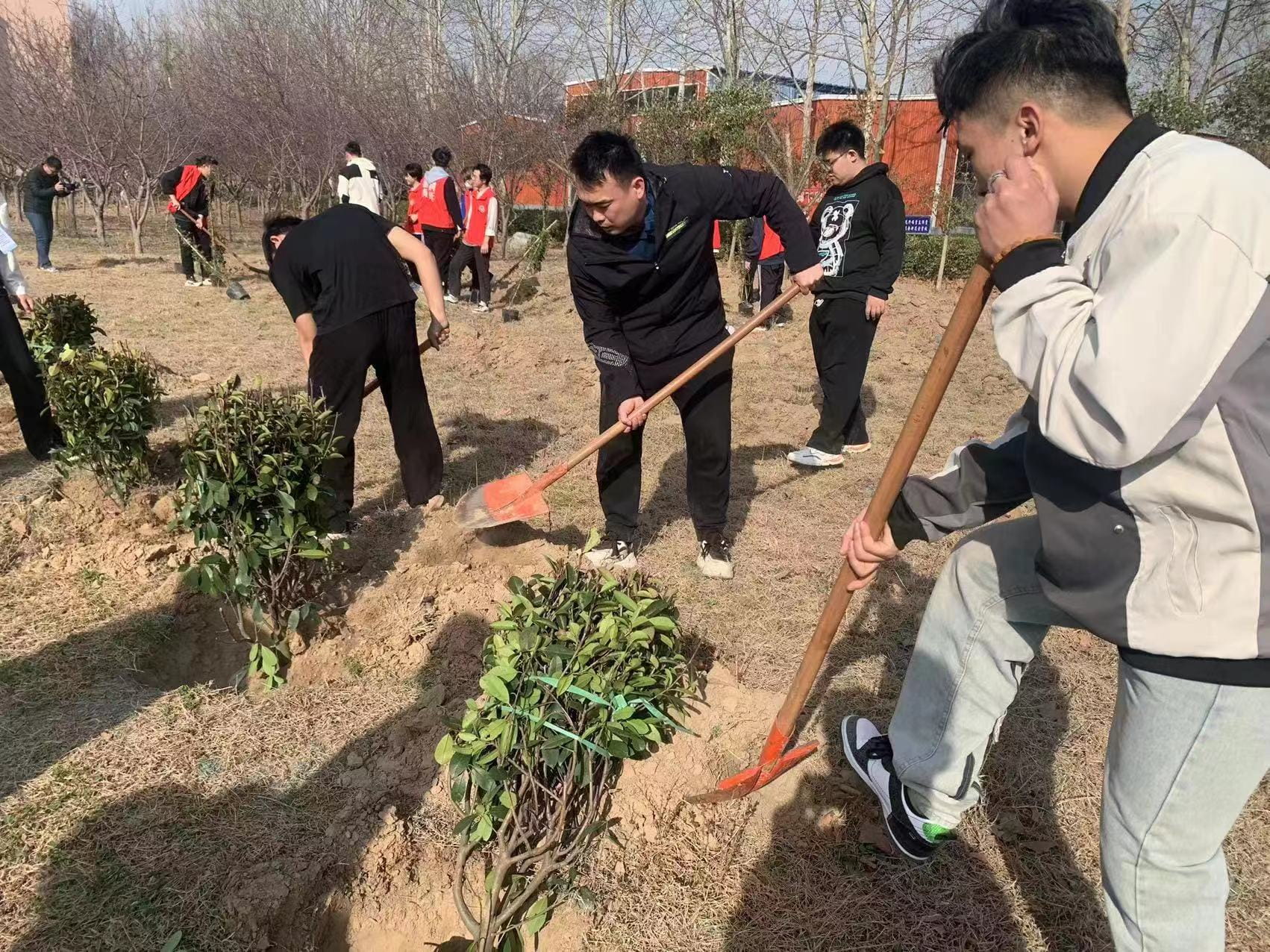 少妇被又大又粗又爽久久