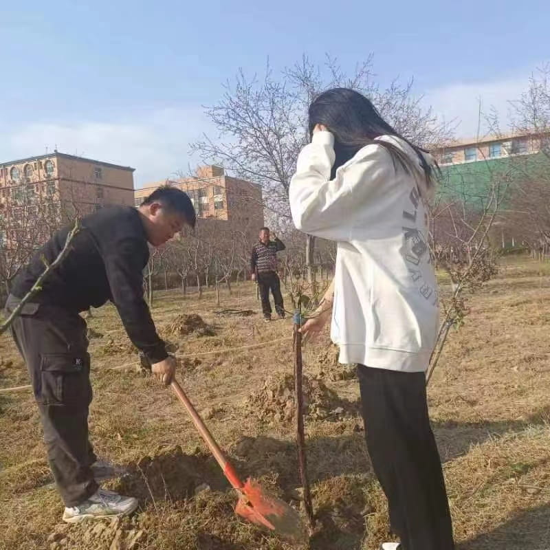 少妇被又大又粗又爽久久