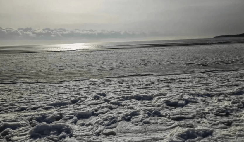 少妇被又大又粗又爽久久