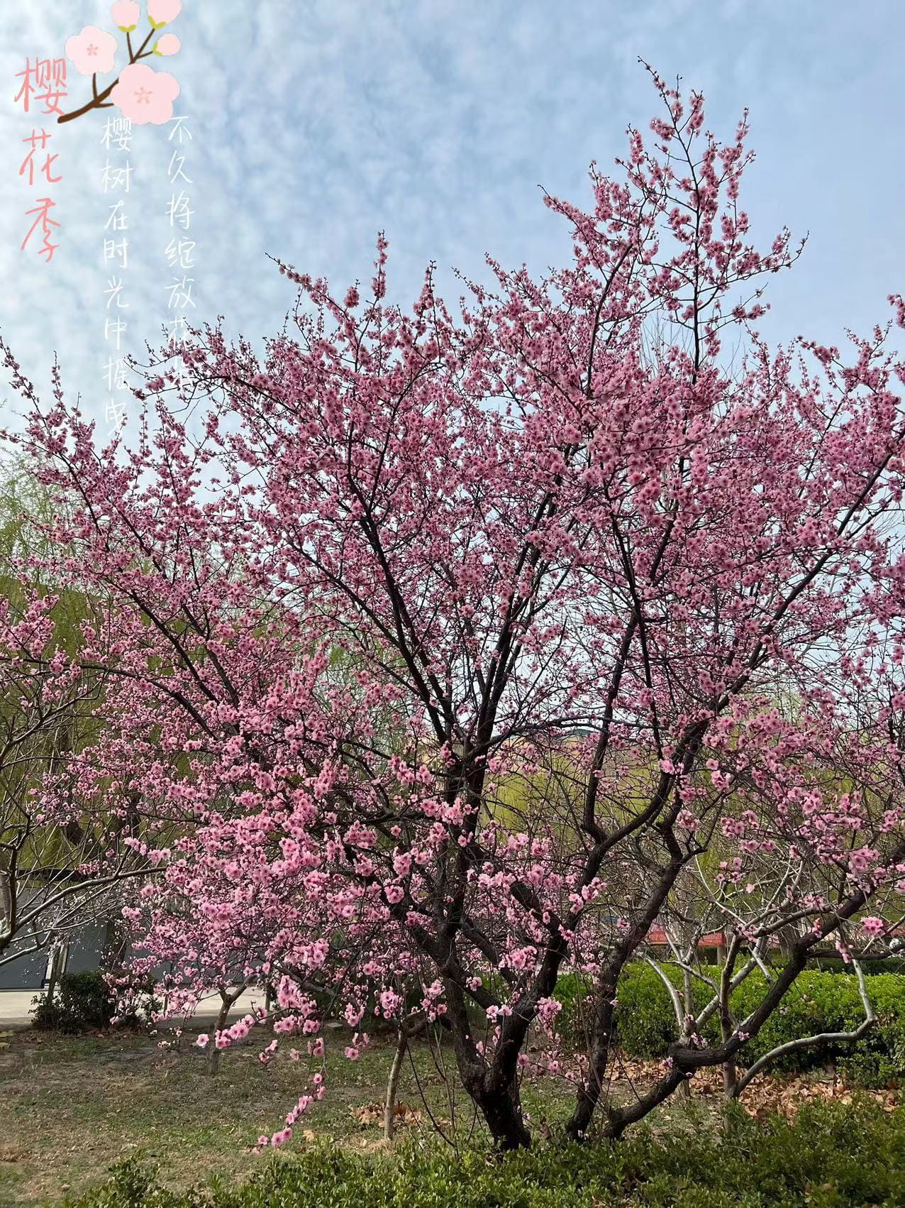 少妇被又大又粗又爽久久