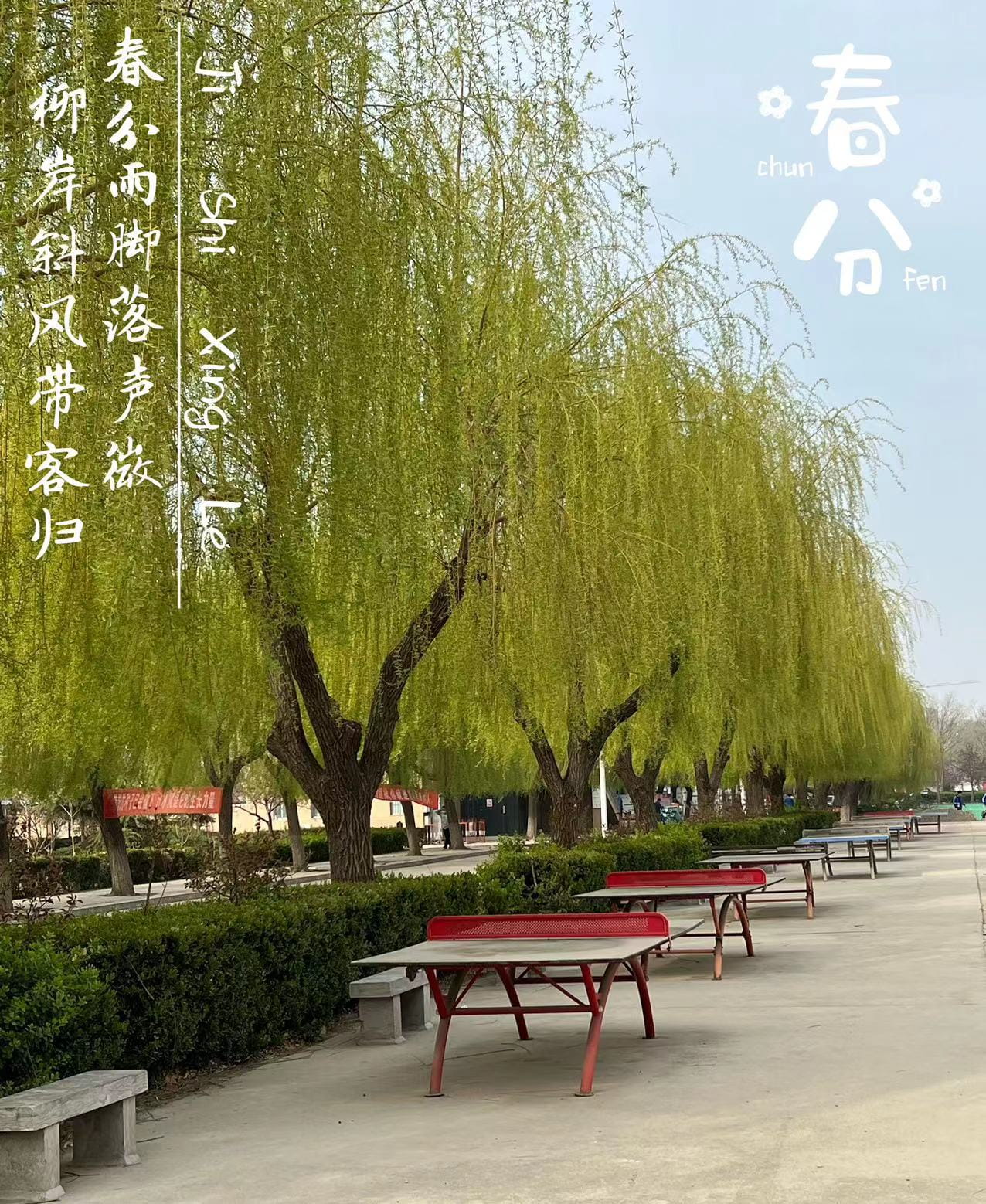 少妇被又大又粗又爽久久