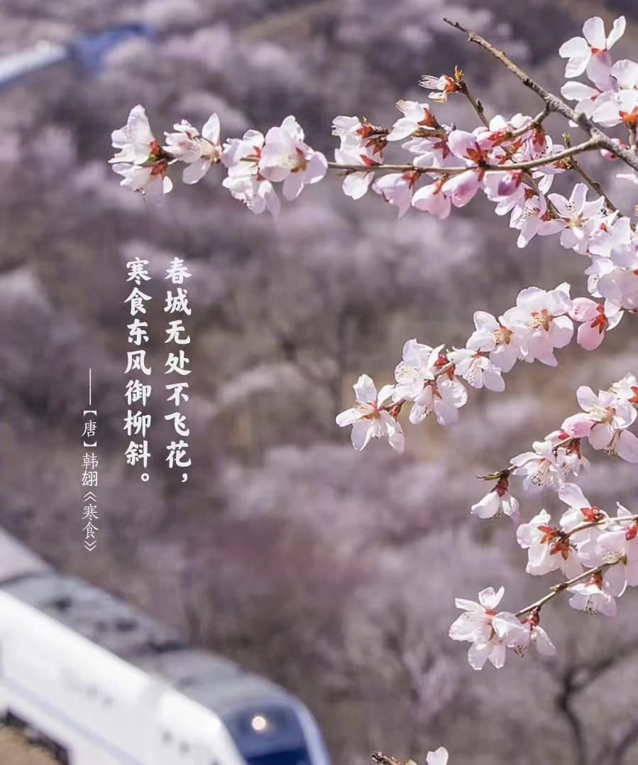 少妇被又大又粗又爽久久