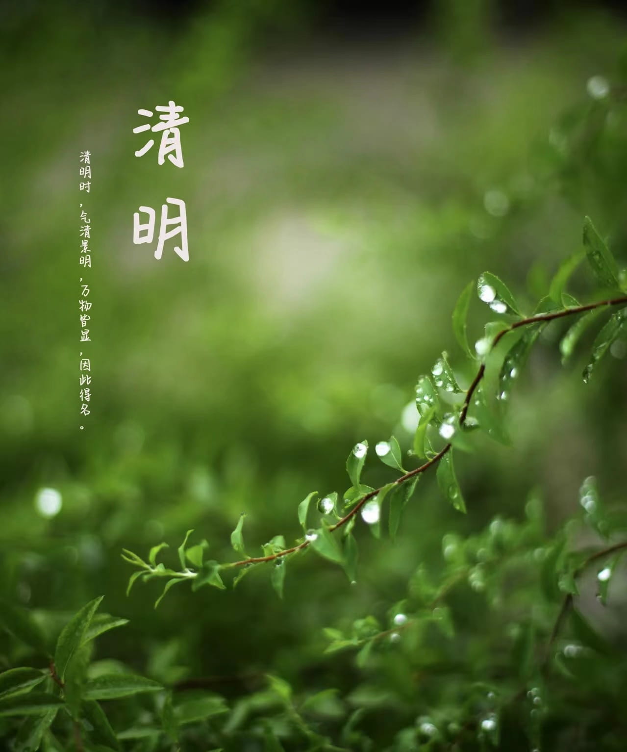 少妇被又大又粗又爽久久