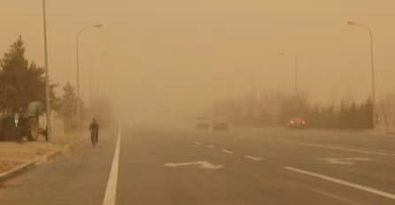 少妇被又大又粗又爽久久