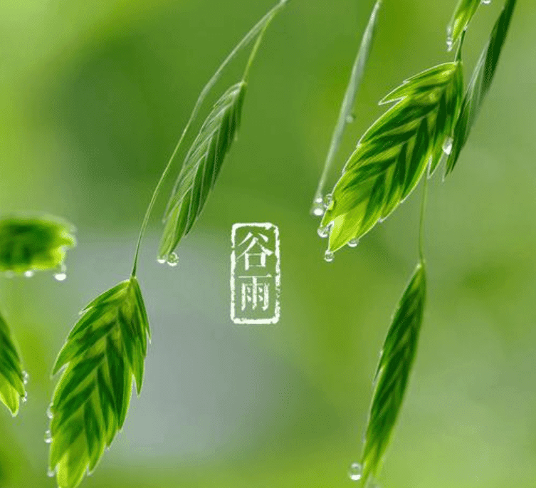 少妇被又大又粗又爽久久