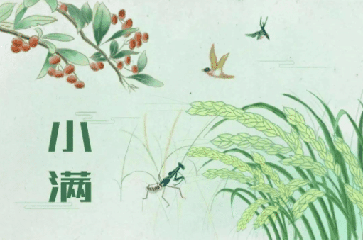 少妇被又大又粗又爽久久