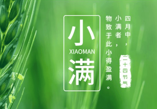 少妇被又大又粗又爽久久