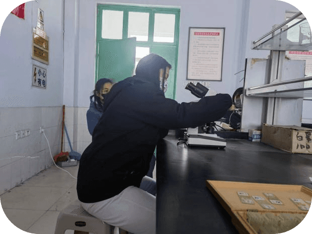 少妇被又大又粗又爽久久