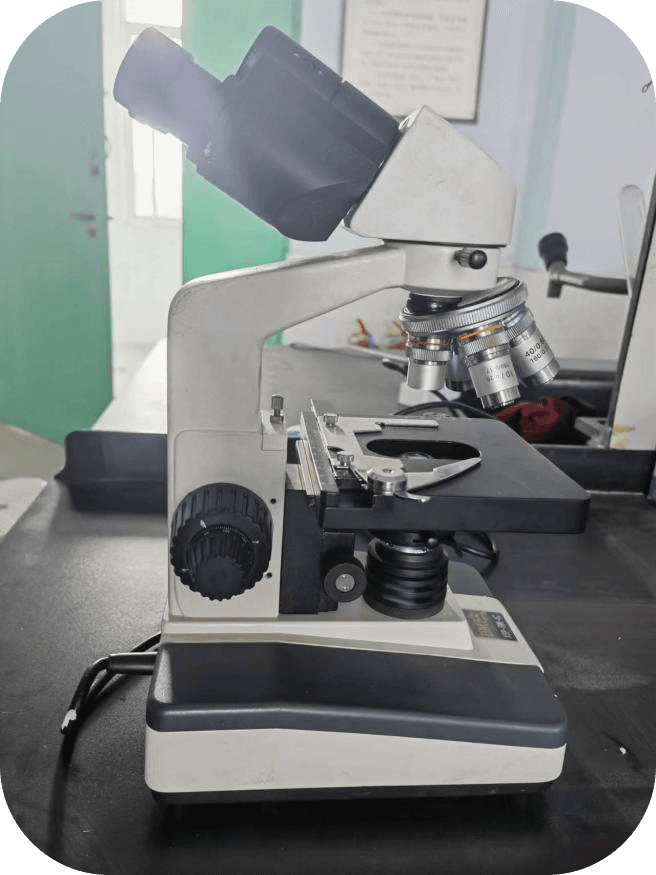 少妇被又大又粗又爽久久