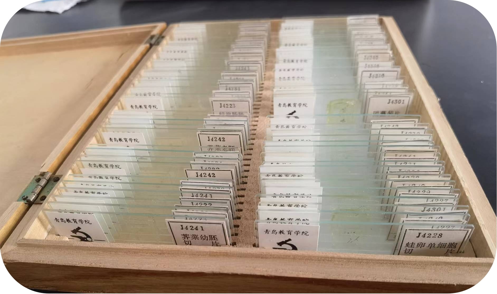 少妇被又大又粗又爽久久