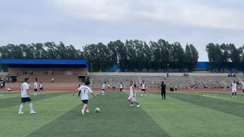 少妇被又大又粗又爽久久