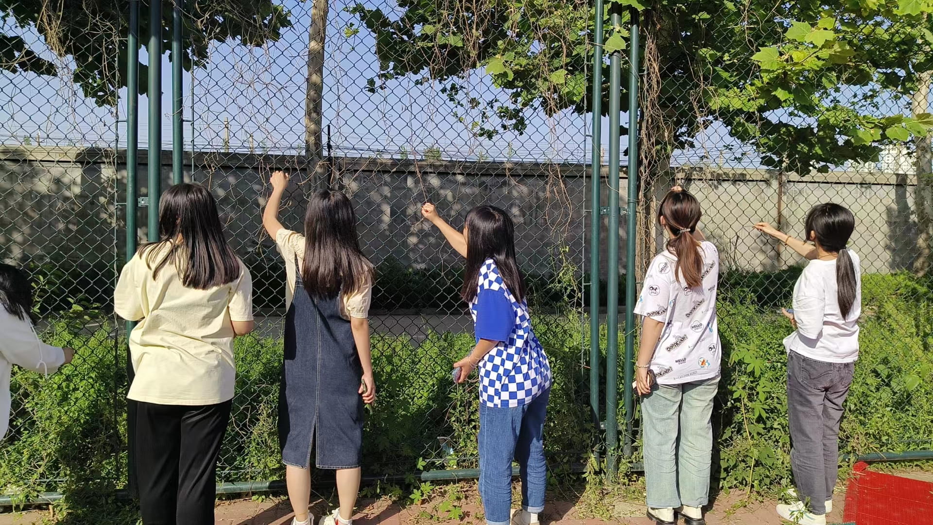 少妇被又大又粗又爽久久