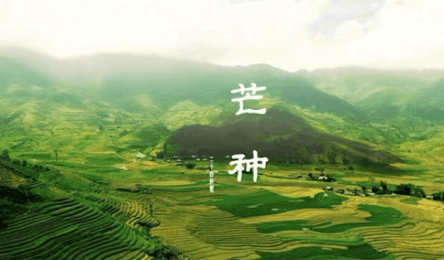 少妇被又大又粗又爽久久