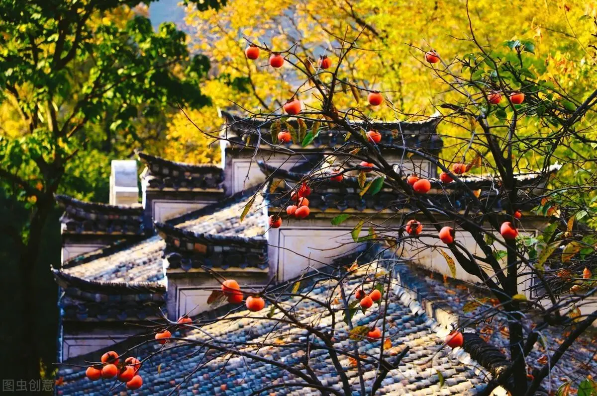 少妇被又大又粗又爽久久