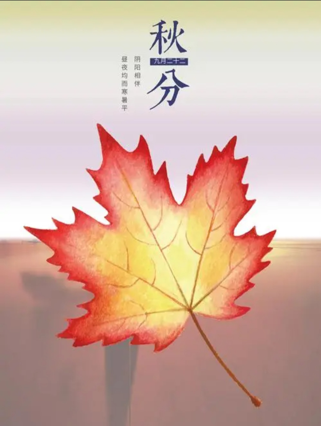 少妇被又大又粗又爽久久