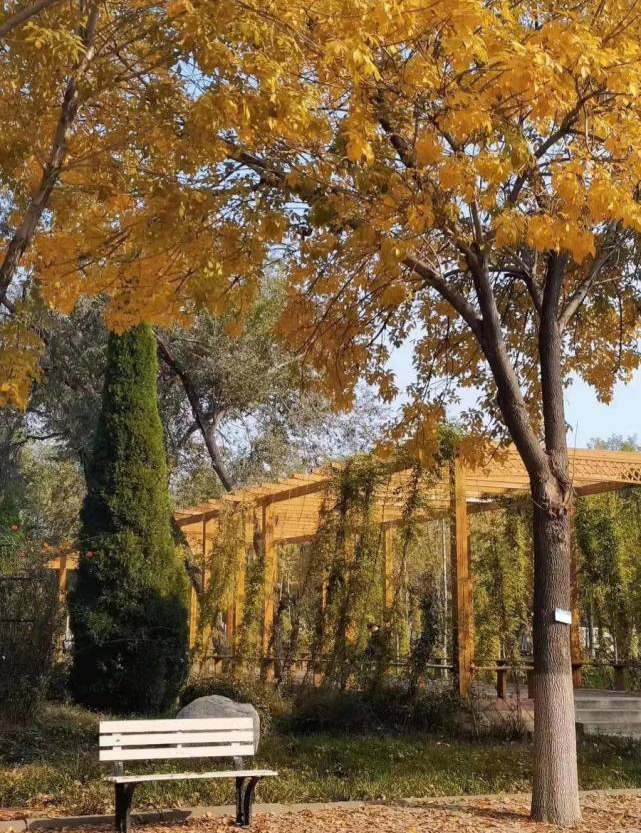 少妇被又大又粗又爽久久