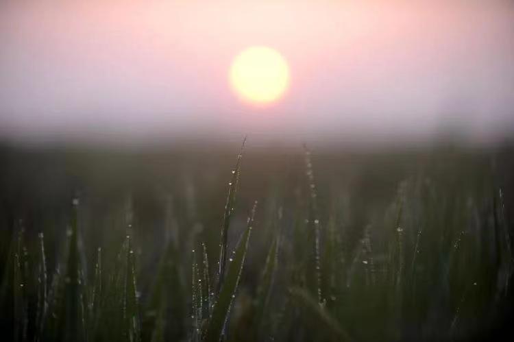 少妇被又大又粗又爽久久