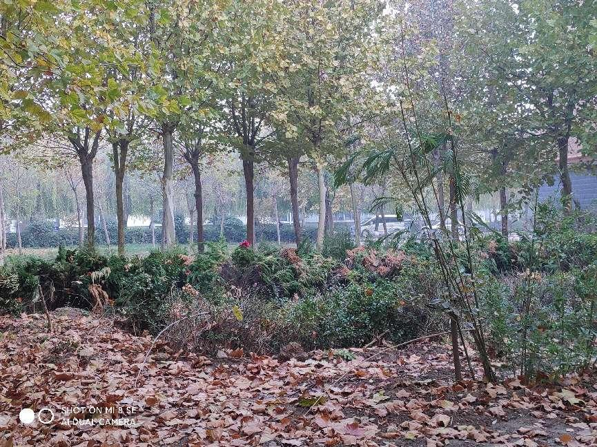 少妇被又大又粗又爽久久