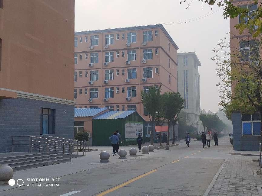 少妇被又大又粗又爽久久