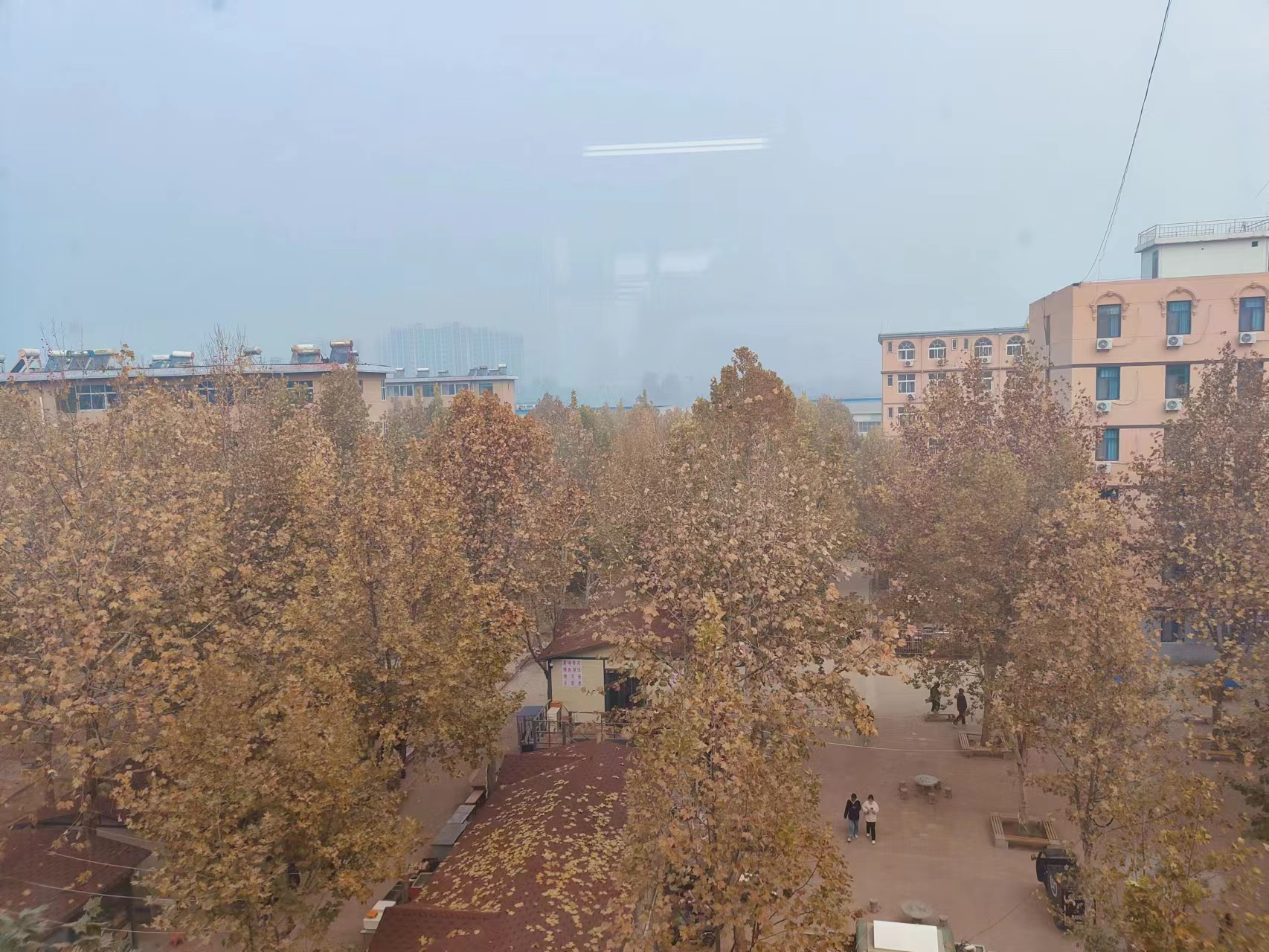 少妇被又大又粗又爽久久