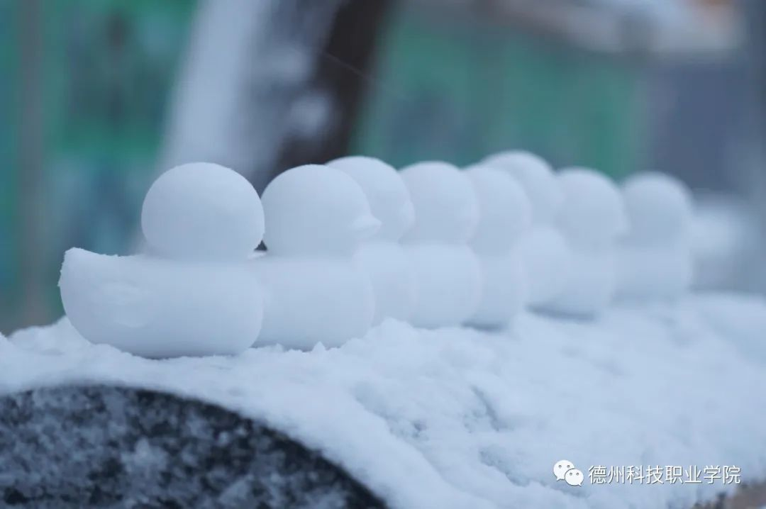 少妇被又大又粗又爽久久