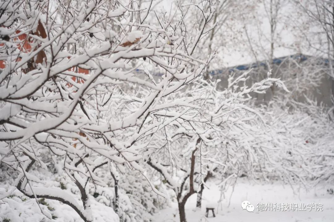 少妇被又大又粗又爽久久