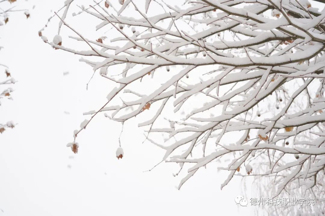 少妇被又大又粗又爽久久