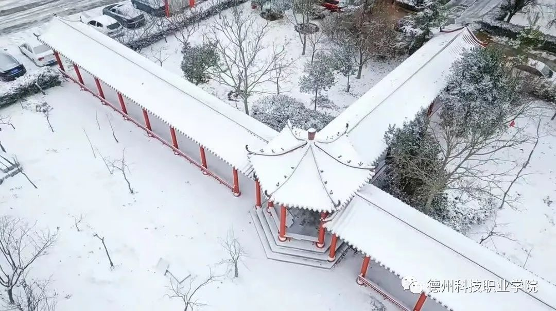 少妇被又大又粗又爽久久