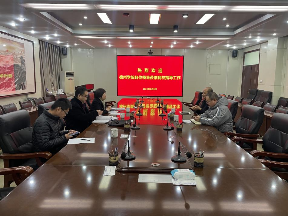 少妇被又大又粗又爽久久