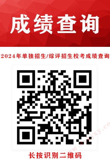 少妇被又大又粗又爽久久