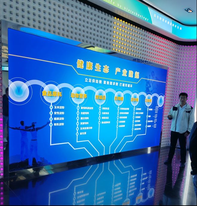 少妇被又大又粗又爽久久