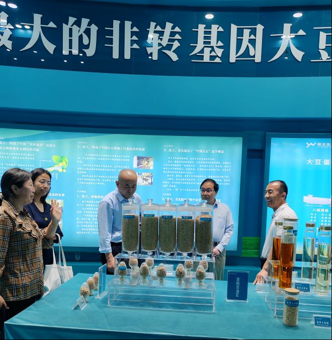 少妇被又大又粗又爽久久