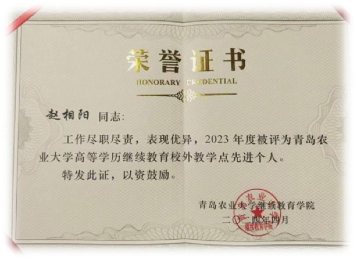 少妇被又大又粗又爽久久