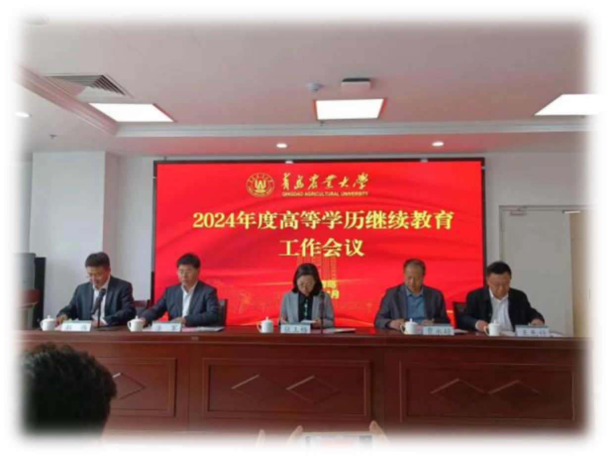 少妇被又大又粗又爽久久